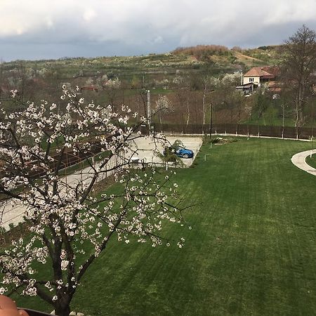 Pensiunea Amurg Mesesenii de Sus Esterno foto
