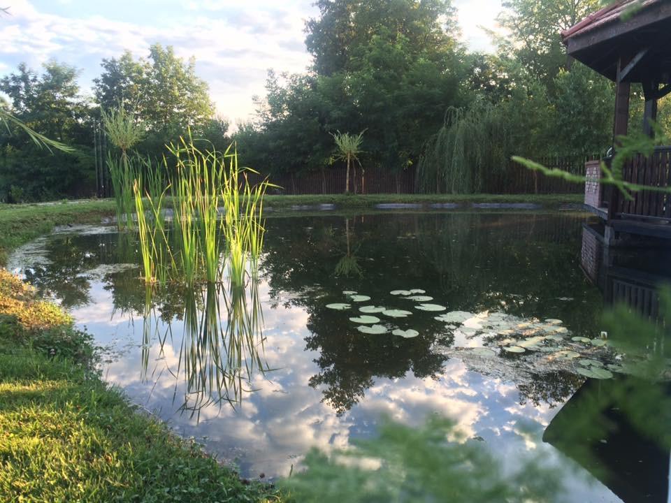 Pensiunea Amurg Mesesenii de Sus Esterno foto