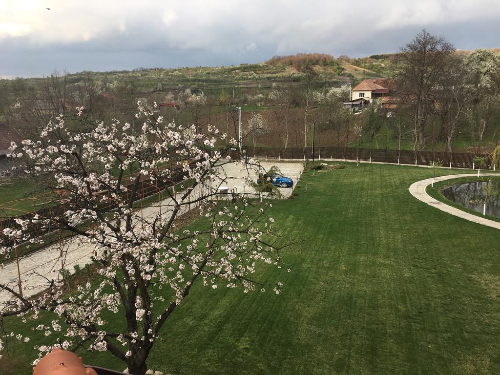 Pensiunea Amurg Mesesenii de Sus Esterno foto